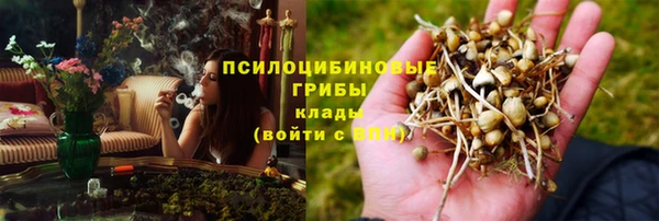 МДПВ Нея