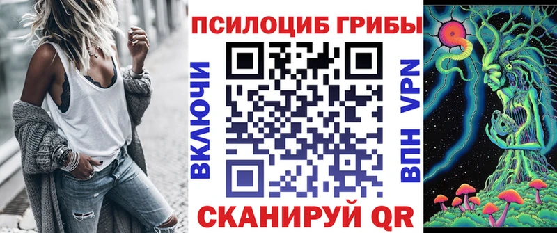 продажа наркотиков  Почеп  Псилоцибиновые грибы мицелий 